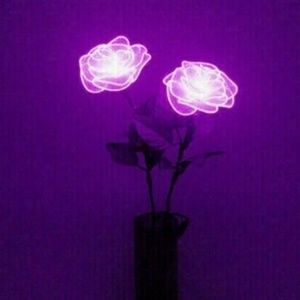 Meet your Posher, Mazie